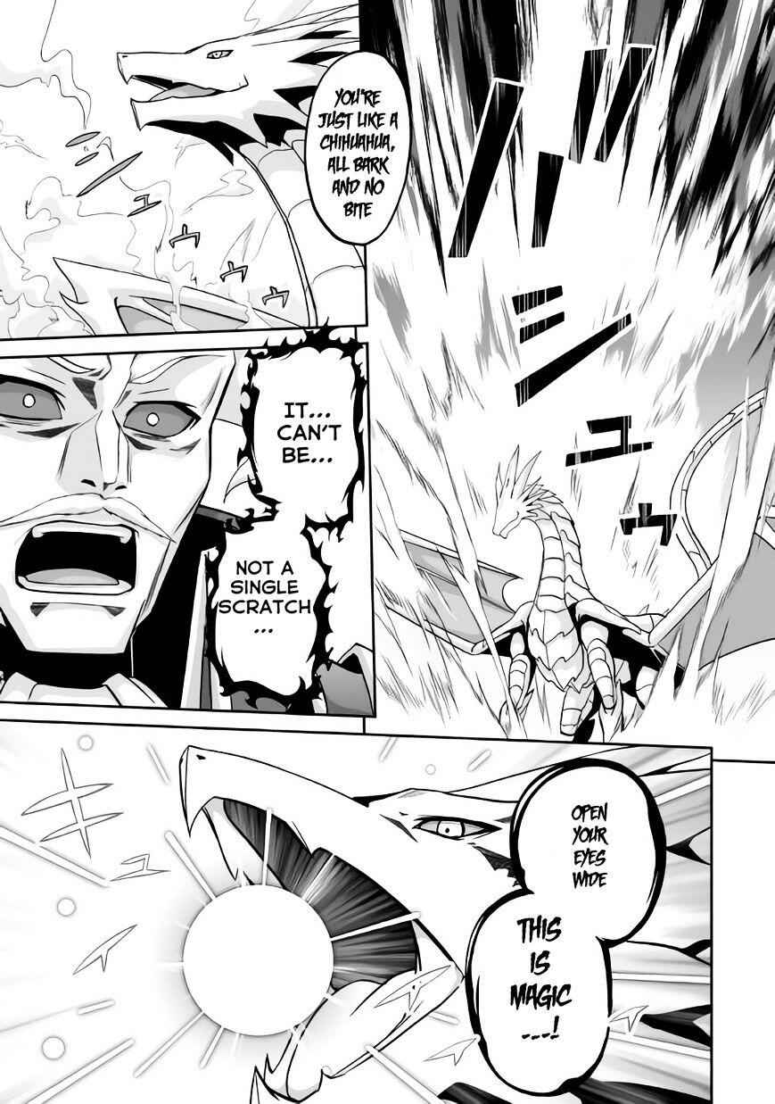 The Fierce Revolution ~ The Strongest Organism Which Can Kill the Devil and the Hero Chapter 2 10